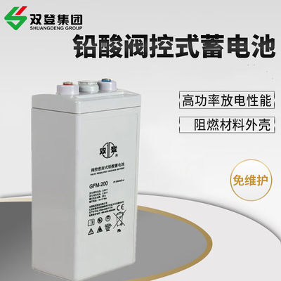 Shuangdeng GFM-200 vervangende plaat voor 2V200Ah loodzuurbatterij Totaal hoogte 365mm