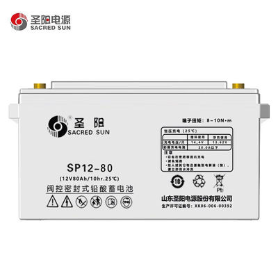 330mm Lengte Heilige zon verzegeld SP12-100 loodzuurbatterij 12V100Ah voor UPS Power System