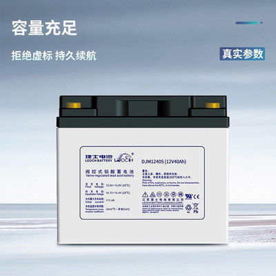 Leochbatterij DJM1240S 12V40Ah loodzuurbatterij voor zonne-energieopslag
